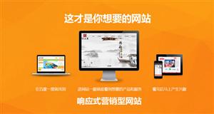 网站建设 网站建设