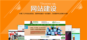 网站建设 网站建设