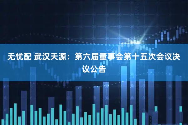 无忧配 武汉天源：第六届董事会第十五次会议决议公告
