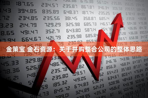 金策宝 金石资源：关于并购整合公司的整体思路