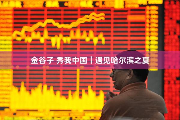 金谷子 秀我中国｜遇见哈尔滨之夏