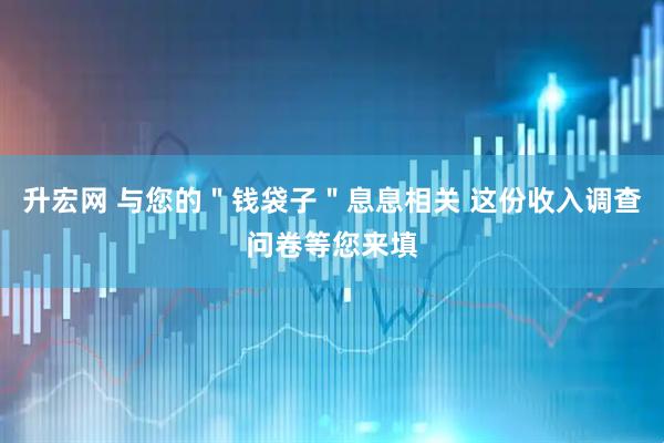 升宏网 与您的＂钱袋子＂息息相关 这份收入调查问卷等您来填
