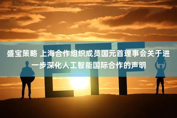 盛宝策略 上海合作组织成员国元首理事会关于进一步深化人工智能国际合作的声明